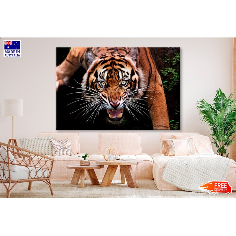 Wild Tiger Face Closeup  Wall Art Decor 100% Australian Made