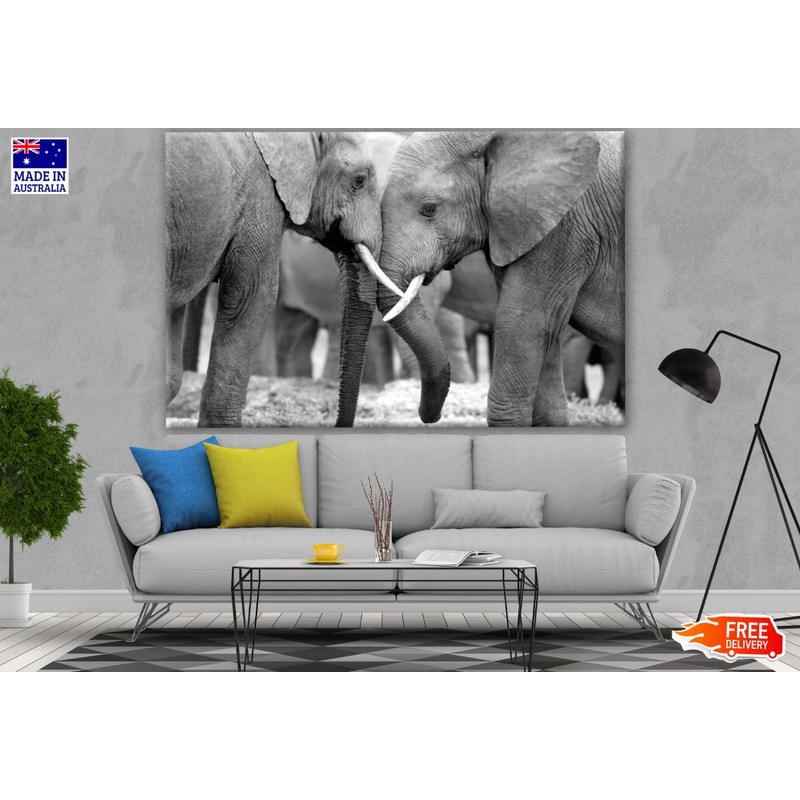 B&W Elephants Photograph Print 100% Australian Made
