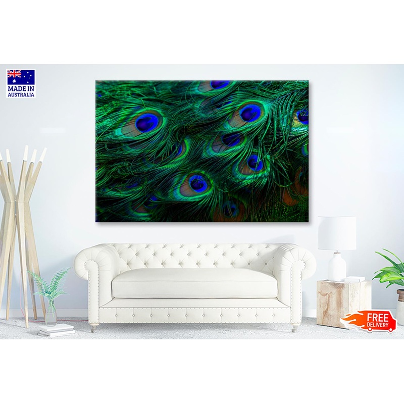 Beautiful Peacock's Feathers Closeup  Wall Art Decor 100% Australian Made