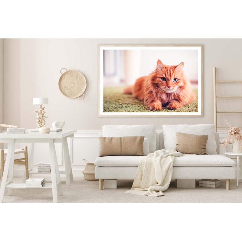 Beautiful Red Fluffy Cat with Green Eyes Home Decor Premium Quality Poster Print Choose Your Sizes