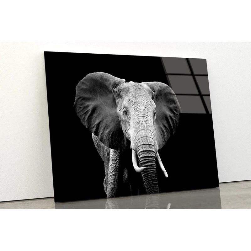 Black And White Photo of An Elephant Acrylic Glass Print Tempered Glass Wall Art 100% Made in Australia Ready to Hang