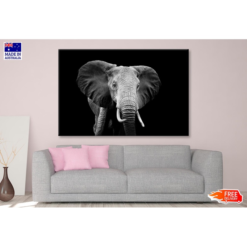 Black and White Photo of an Elephant Wall Art Decor 100% Australian Made