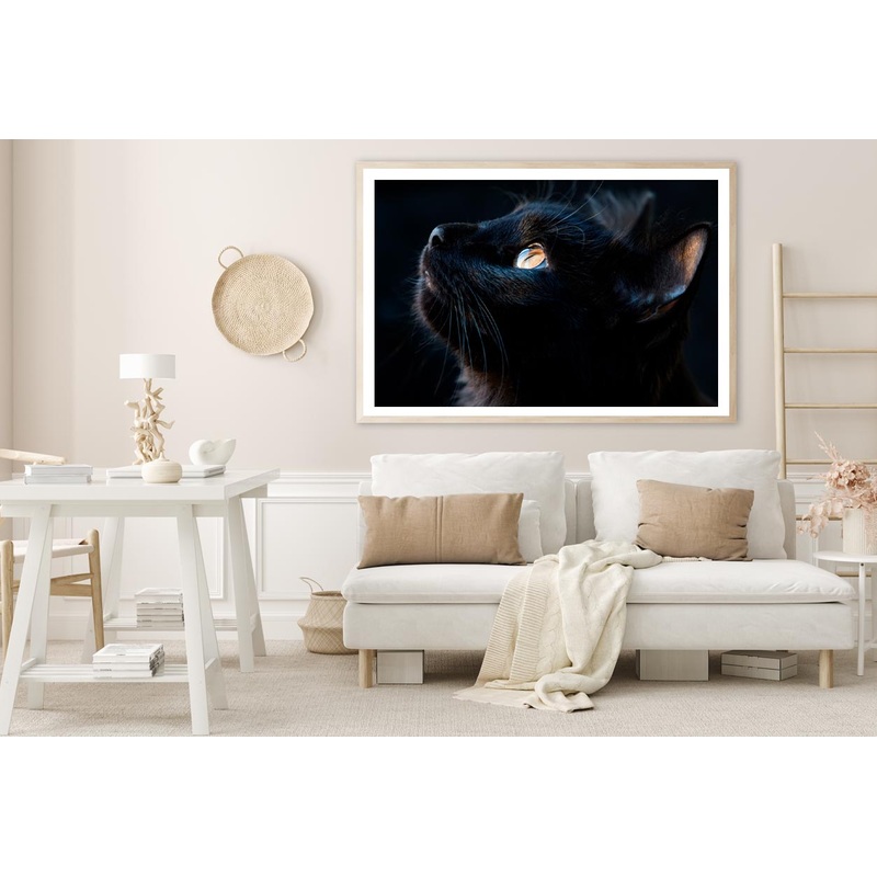 Black Cat with A Yellow Eye Staring Up Home Decor Premium Quality Poster Print Choose Your Sizes
