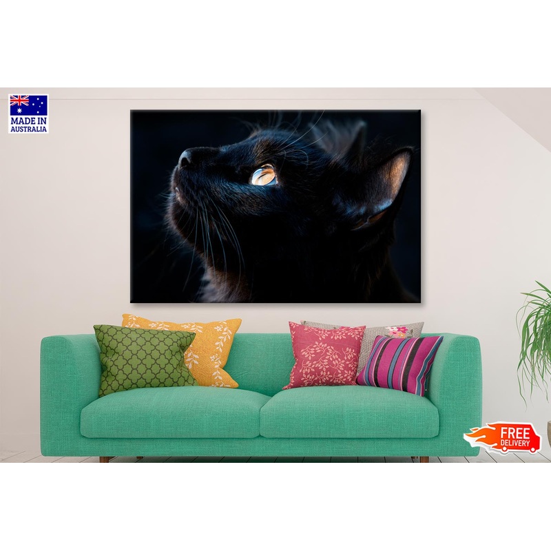 Black Cat with A Yellow Eye Staring Up Wall Art Decor 100% Australian Made