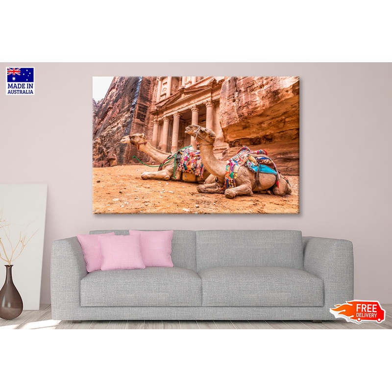 Camels & Carved into The Rock at Petra, Jordan Wall Art Decor 100% Australian Made