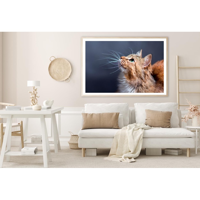 Cat With a Long Whisk on Its Face Home Decor Premium Quality Poster Print Choose Your Sizes