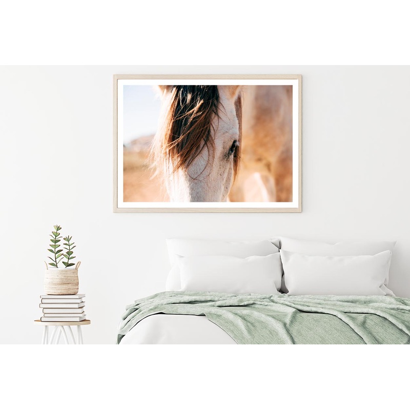 Close Up of a Horse's Head with A Sky Background Home Decor Premium Quality Poster Print Choose Your Sizes