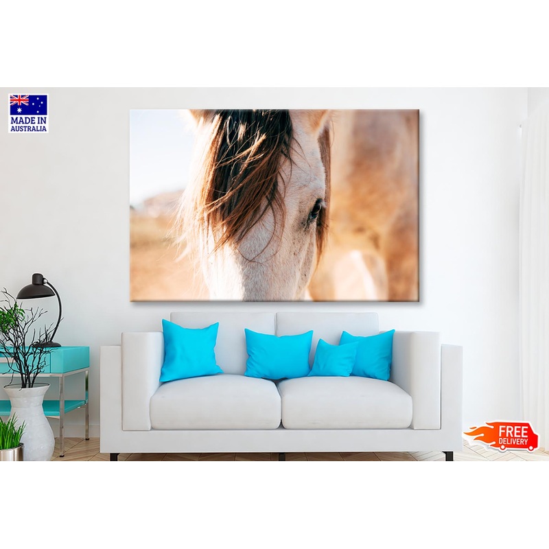 Close Up of a Horse's Head with A Sky Background Wall Art Decor 100% Australian Made