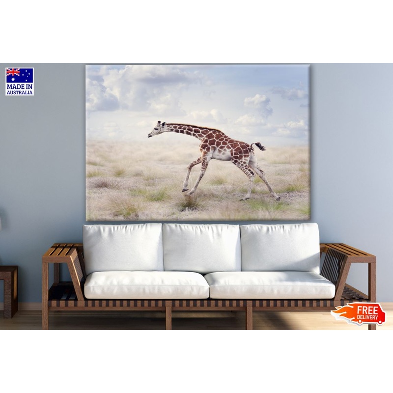 Running Giraffe Photograph Print 100% Australian Made
