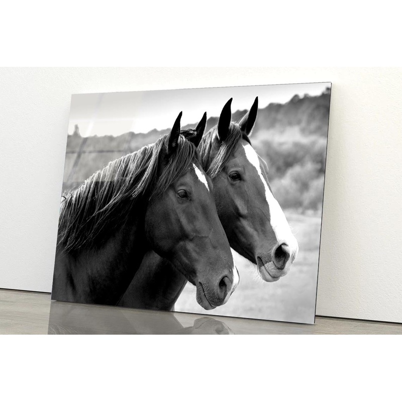 Two Horses in A Meadow Acrylic Glass Print Tempered Glass Wall Art 100% Made in Australia Ready to Hang