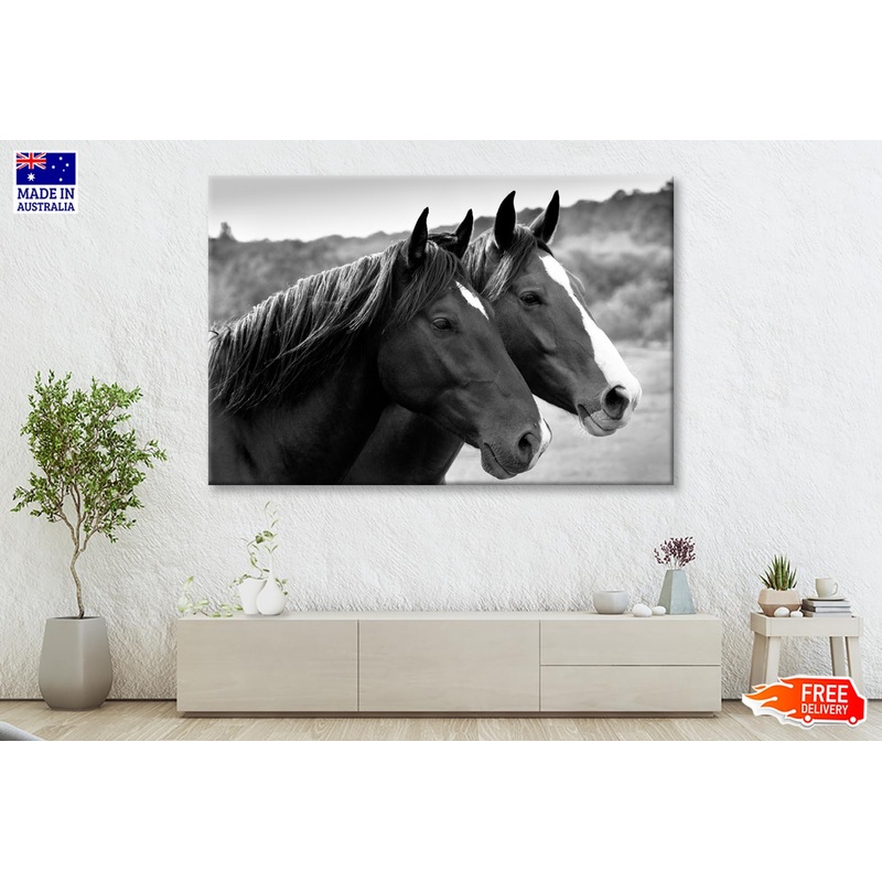 Two Horses in A Meadow B&W Wall Art Wall Art Decor 100% Australian Made