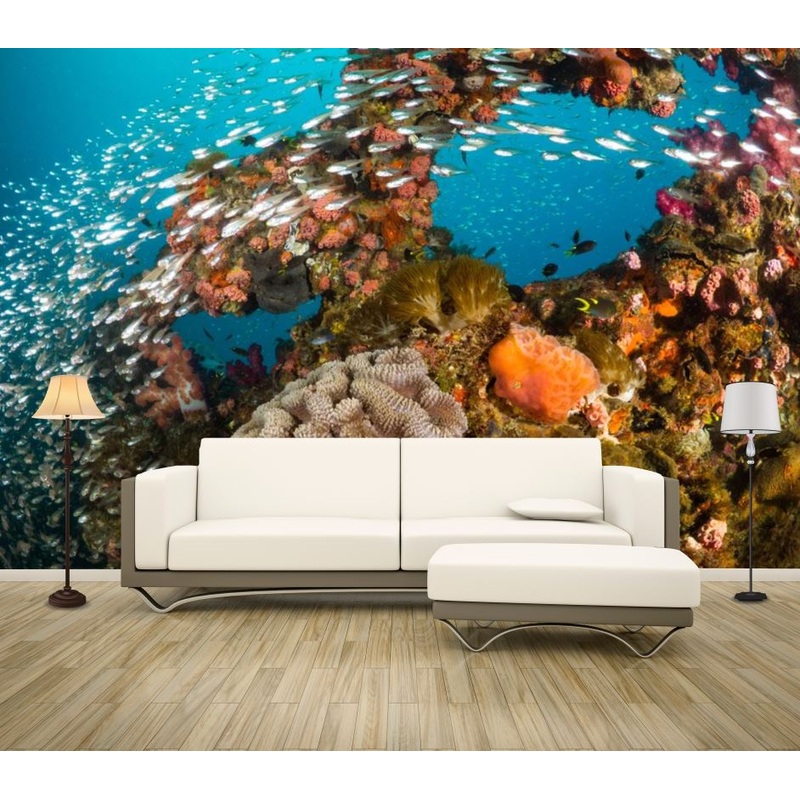 Wallpaper Murals Peel and Stick Removable Photograph Underwater Fish Photograph High Quality