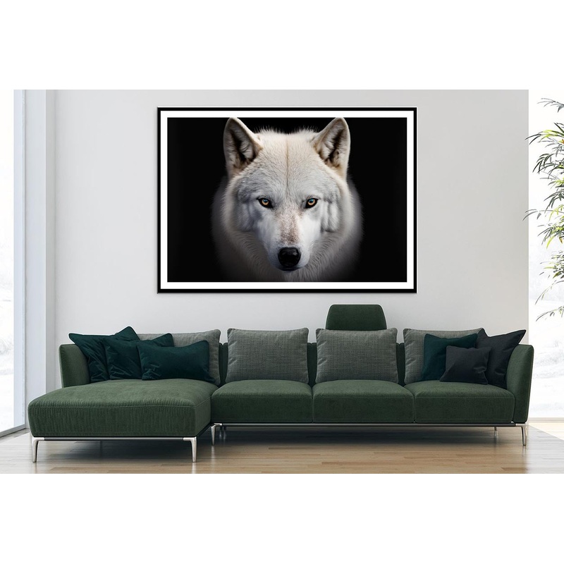 White Wolf with Blue Eyes Looking at The Camera Home Decor Premium Quality Poster Print Choose Your Sizes