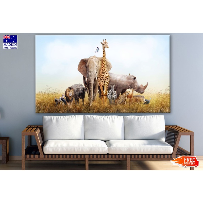 Animals Phtoograph Print 100% Australian Made