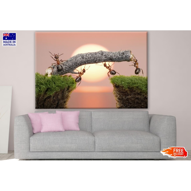 Ants Working Scenery Print 100% Australian Made