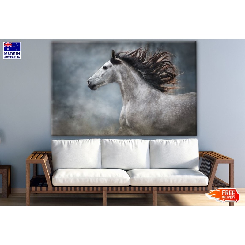 B&W Horse Portrait Photograph Print 100% Australian Made