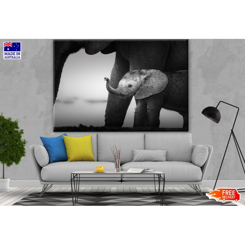 Baby Elephant B&W Photograph Print 100% Australian Made