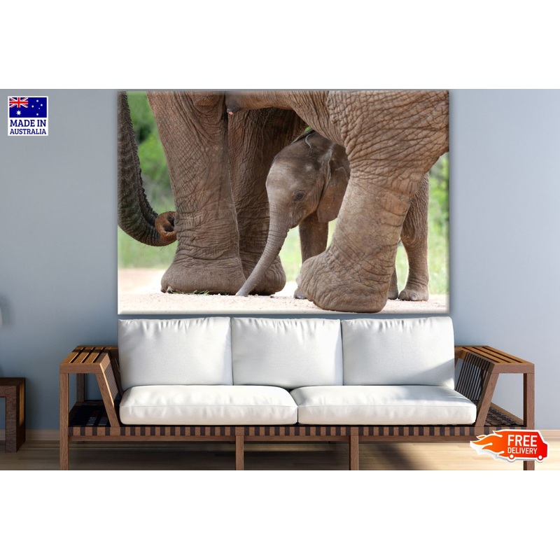 Baby Elephant Photograph Print 100% Australian Made