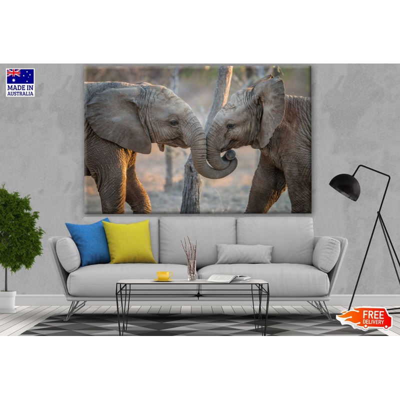 Baby Elephants Playing Photograph Print 100% Australian Made