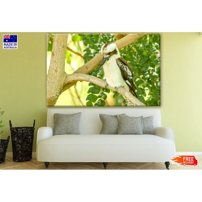 Bird Sitting on A Tree Branch Photograph Print 100% Australian Made