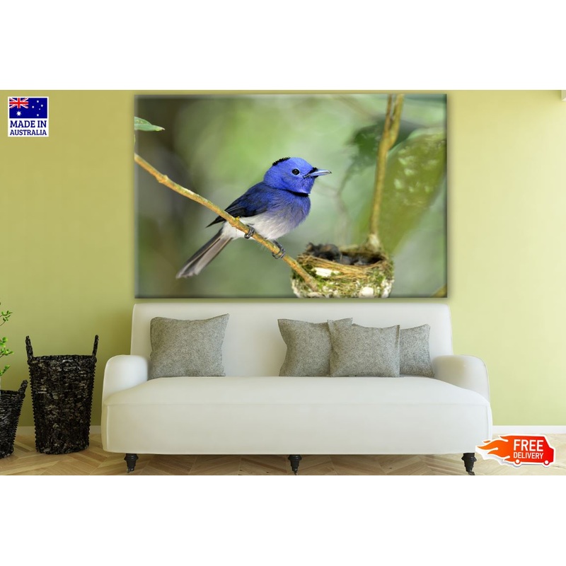 Blue Bird on a Tree Closeup Photograph Print 100% Australian Made