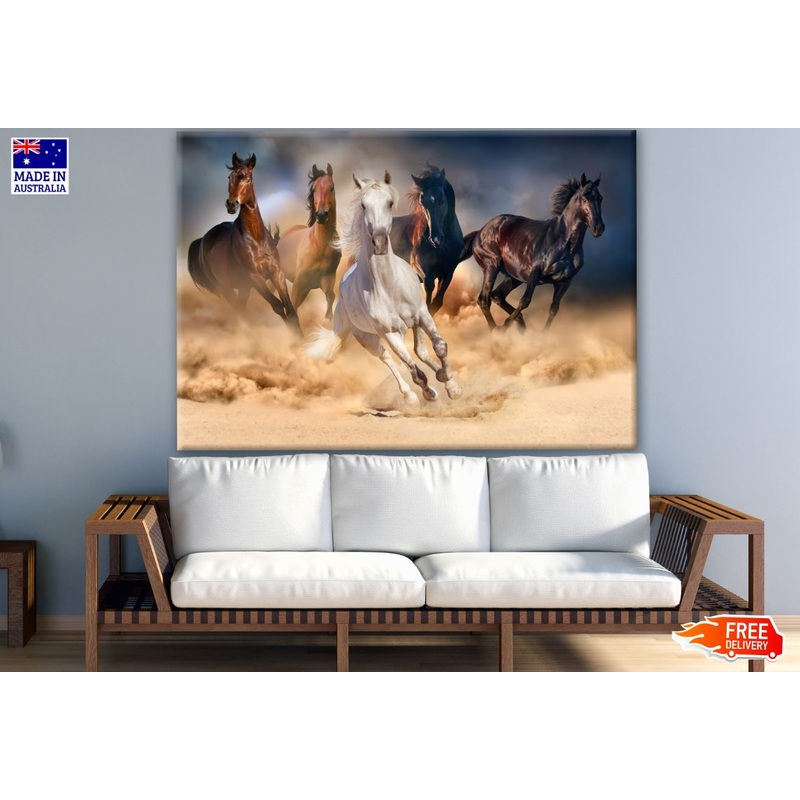 Running Horses Photograph Print 100% Australian Made