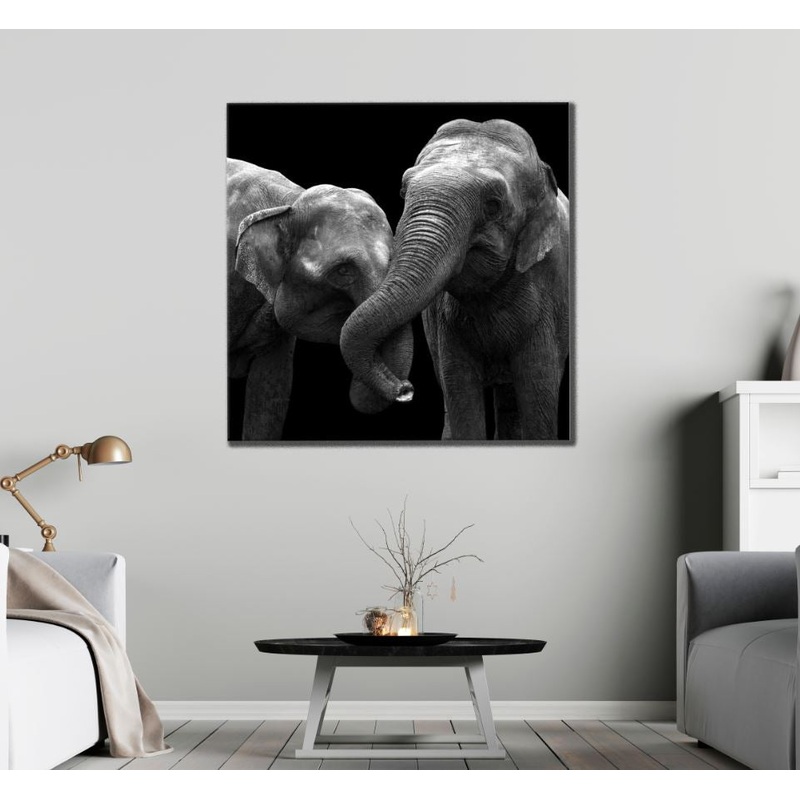Square Canvas Elephants Closeup B&W Photograph High Quality Print 100% Australian Made