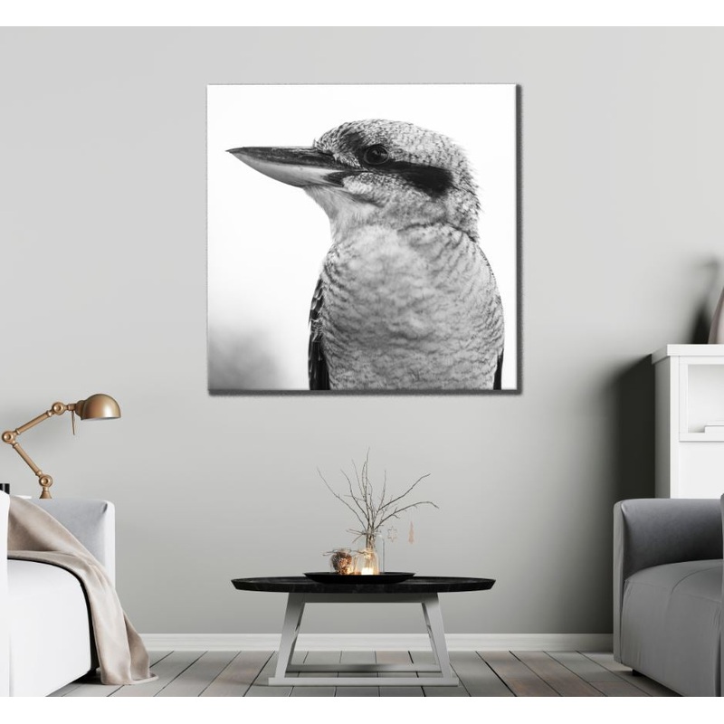 Square Canvas Kingfisher Bird B&W Photograph High Quality Print 100% Australian Made