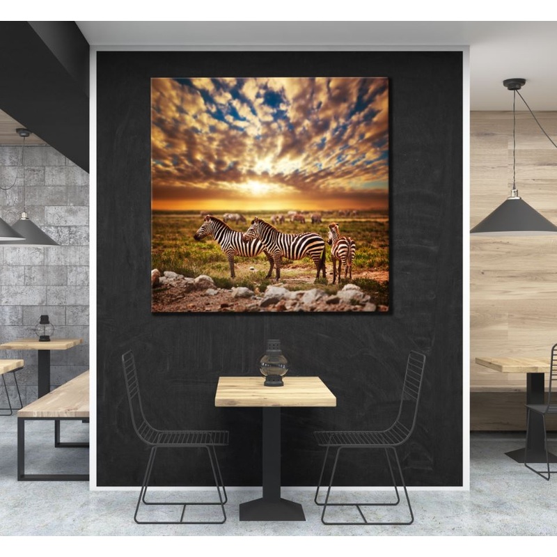 Square Canvas Zebras at Sunset Photograph High Quality Print 100% Australian Made