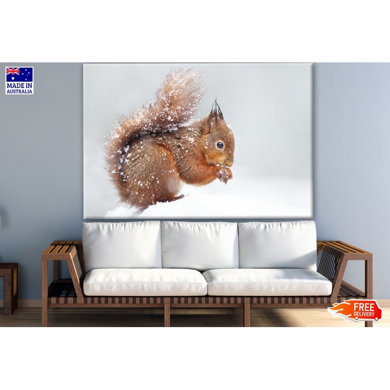 Squirrel Eating on Snow Ground Photograph Print 100% Australian Made