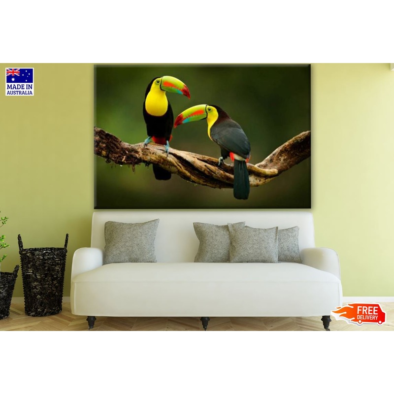 Toucan Birds Sitting on a Branch in the Forest Photograph Print 100% Australian Made