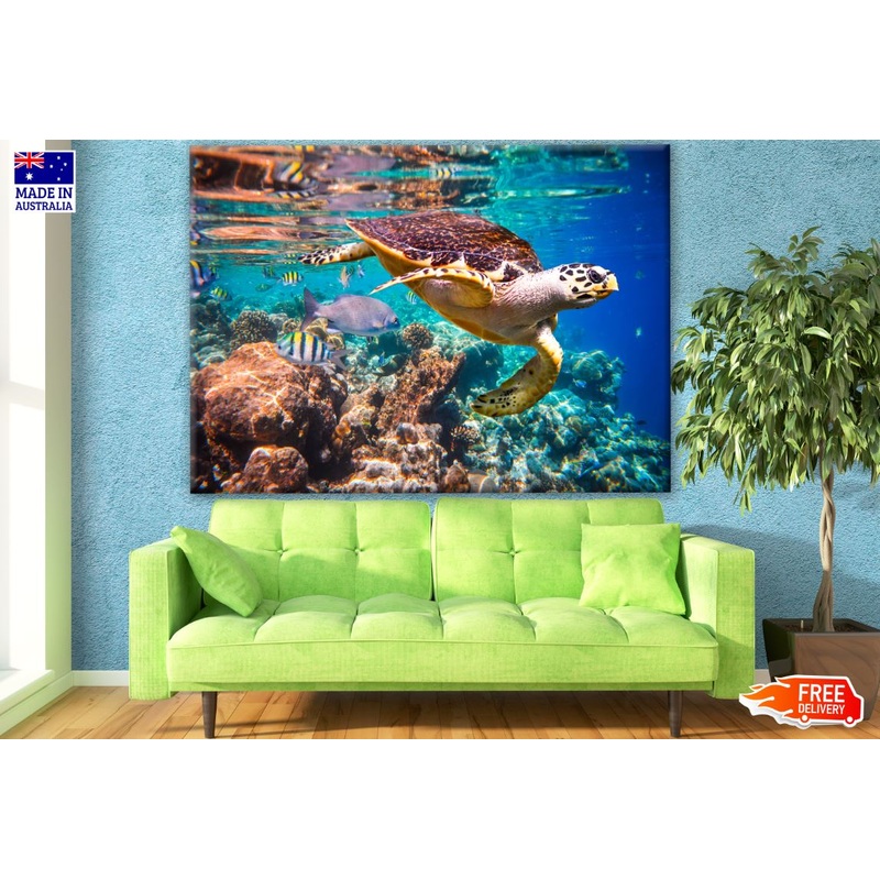 Turtle Swim in Sea Near Corals Photograph Print 100% Australian Made