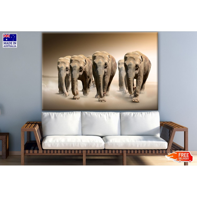 Walking Elephant Photograph Print 100% Australian Made