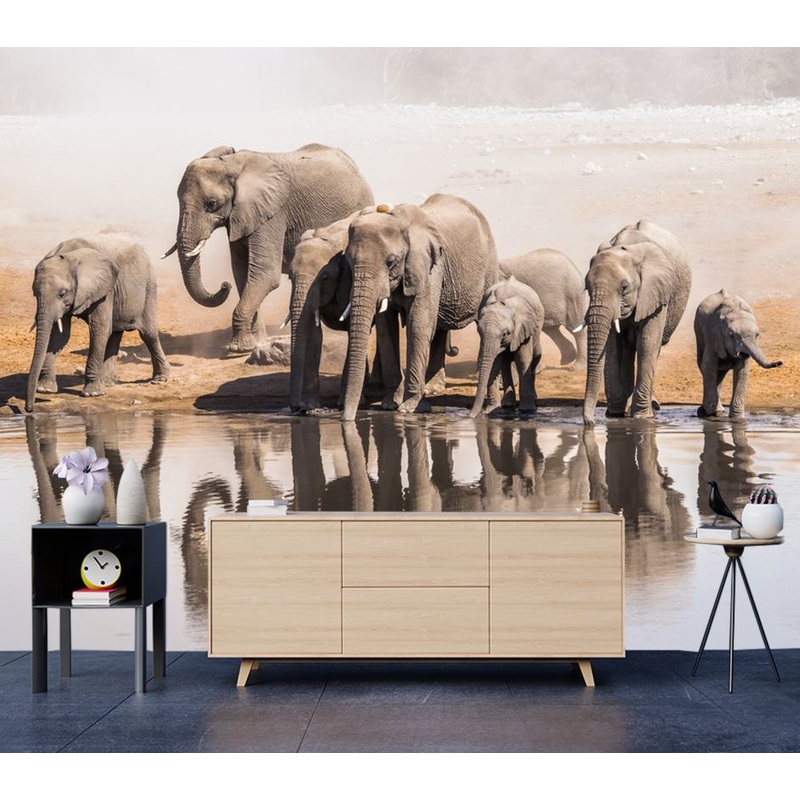 Wallpaper Murals Peel and Stick Removable Elephant Near Lake High Quality