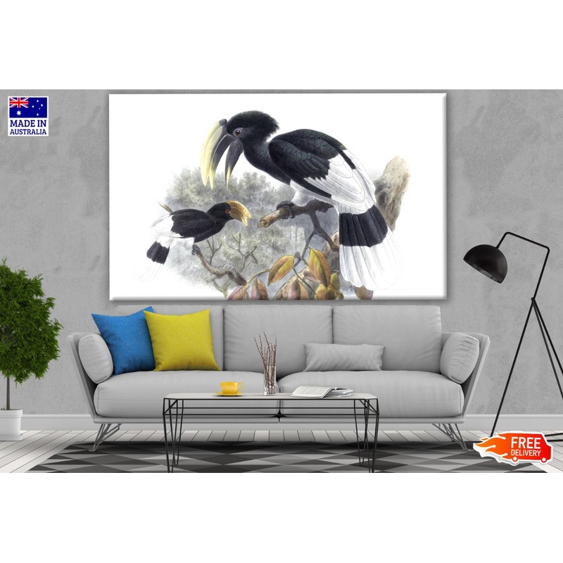 White-Thighed Hornbill Birds Watercolor Painting Print 100% Australian Made