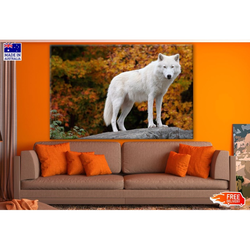 White Wolf on a Rock Photograph Print 100% Australian Made