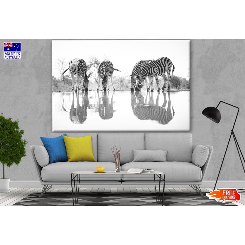 Zebras Near Lake B&W Photograph Print 100% Australian Made