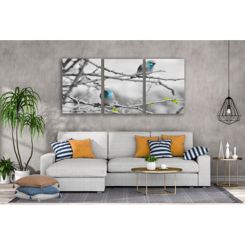 3 Set of Blue Birds on a Tree Photograph High Quality Print 100% Australian Made Wall Canvas Ready to Hang