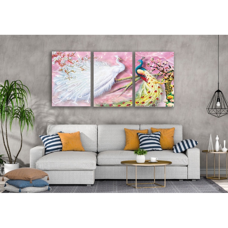 3 Set of Colorful Peacock Couple 3D Design High Quality Print 100% Australian Made Wall Canvas Ready to Hang