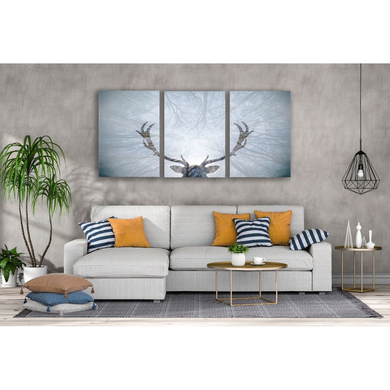 3 Set of Deer Antler & Forest Photograph High Quality Print 100% Australian Made Wall Canvas Ready to Hang