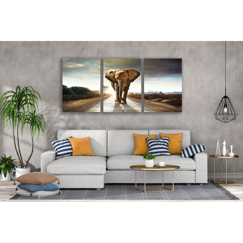 3 Set of Elephant Walking on Road Photograph High Quality Print 100% Australian Made Wall Canvas Ready to Hang