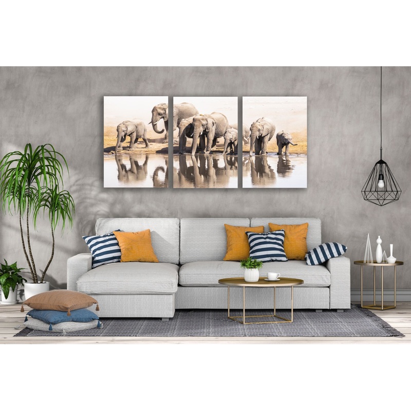 3 Set of Elephants Near Waterhole Photograph High Quality Print 100% Australian Made Wall Canvas Ready to Hang