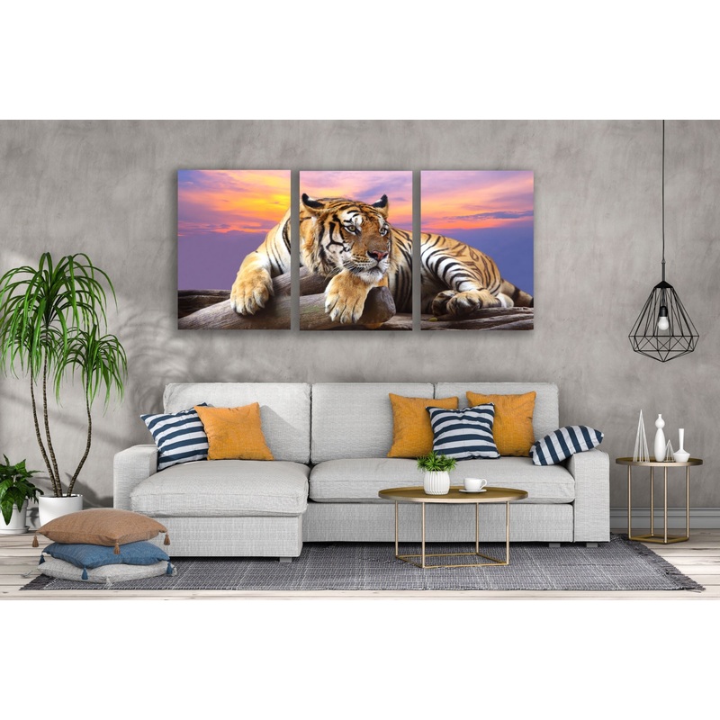 3 Set of Tiger Laying on a Rock Photograph High Quality Print 100% Australian Made Wall Canvas Ready to Hang