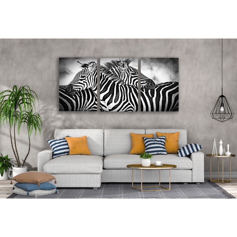 3 Set of Zebras B&W Photograph High Quality Print 100% Australian Made Wall Canvas Ready to Hang