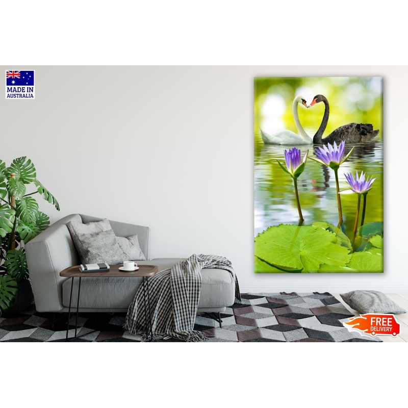 B&W Swans on Lake Photograph Print 100% Australian Made