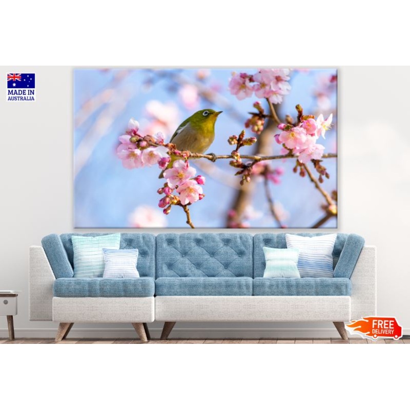 Bird Sitting on Blossom Tree Photograph Print 100% Australian Made
