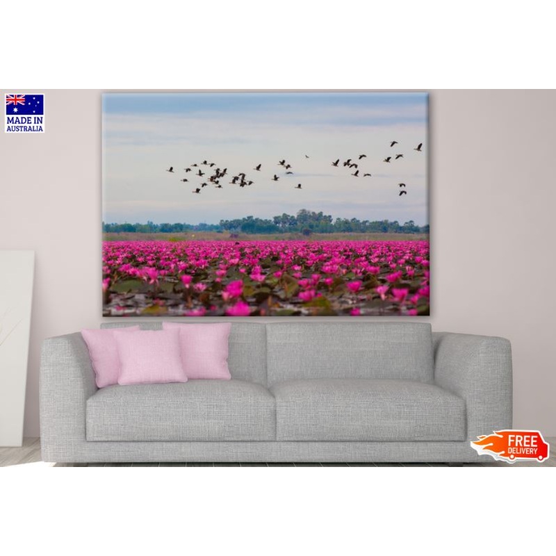 Birds Flying Over Flower Field Photograph Print 100% Australian Made