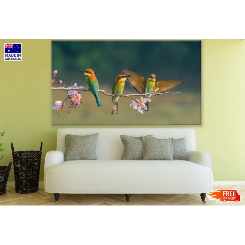 Birds Sitting on Blossom Tree Photograph Print 100% Australian Made