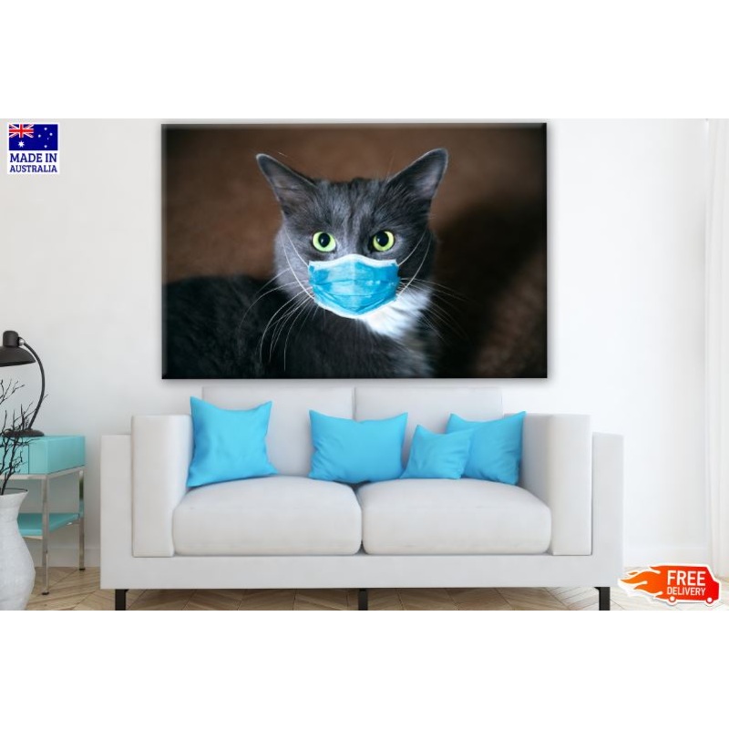 Cat Wearing a Mask Photograph Print 100% Australian Made
