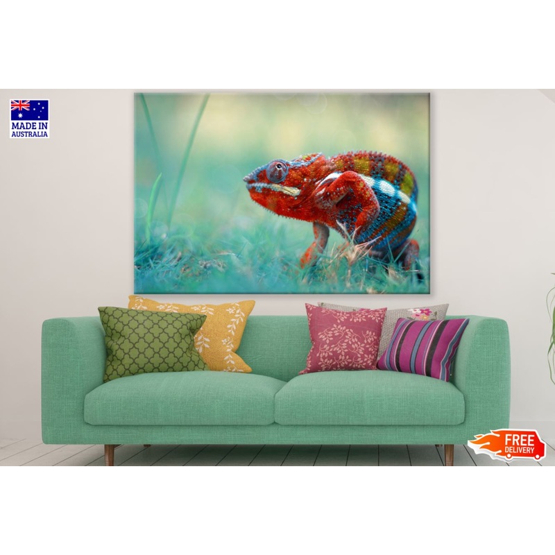 Colorful Chameleon Photograph Print 100% Australian Made